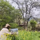 宁德旅游 缩略图 16