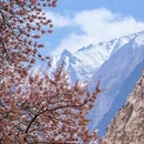 喀什地区旅游 缩略图 2