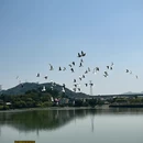 漳州旅游 缩略图 5