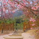 漳州旅游 缩略图 10