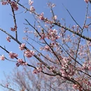 漳州旅游 缩略图 11