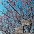 漳州旅游 缩略图 12