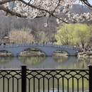 大连旅游 缩略图 9
