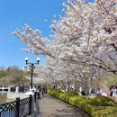大连旅游 缩略图 1