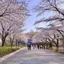 北京旅游 缩略图 3