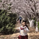 大连旅游 缩略图 2