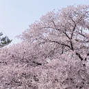北京旅游 缩略图 5