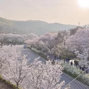 北京旅游 缩略图 4