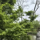 上海旅游 缩略图 2