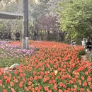 北京旅游 缩略图 8