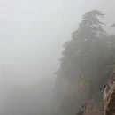 黄山旅游 缩略图 3