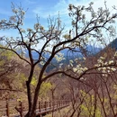 北京旅游 缩略图 1