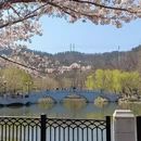大连旅游 缩略图 2