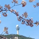大连旅游 缩略图 7