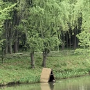 上海旅游 缩略图 1