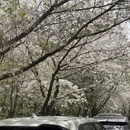 无锡旅游 缩略图 2