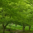 南京旅游 缩略图 5