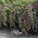 郑州旅游 缩略图 1