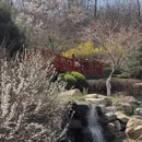 大连旅游 缩略图 16