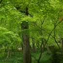 南京旅游 缩略图 10