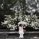 杭州旅游 缩略图 1