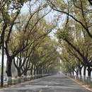 无锡旅游 缩略图 8