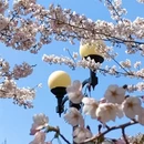 大连旅游 缩略图 4