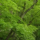 南京旅游 缩略图 12