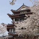 无锡旅游 缩略图 3