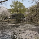 无锡旅游 缩略图 12