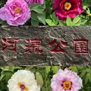 天津旅游 缩略图 1