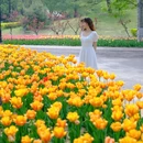 北京旅游 缩略图 2