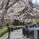 大连旅游 缩略图 10
