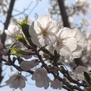 大连旅游 缩略图 11