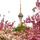 北京旅游 缩略图 3