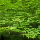 南京旅游 缩略图 16