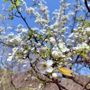 北京旅游 缩略图 6