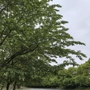 上海旅游 缩略图 11