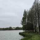 上海旅游 缩略图 3