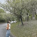 上海旅游 缩略图 6