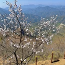 北京旅游 缩略图 9