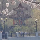 大连旅游 缩略图 12