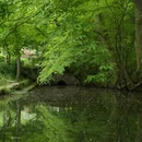 南京旅游 缩略图 2
