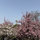 北京旅游 缩略图 5