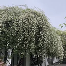 杭州旅游 缩略图 9