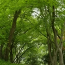 南京旅游 缩略图 7