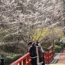 大连旅游 缩略图 17