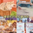 杭州旅游 缩略图 7