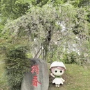 上海旅游 缩略图 10