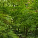南京旅游 缩略图 1